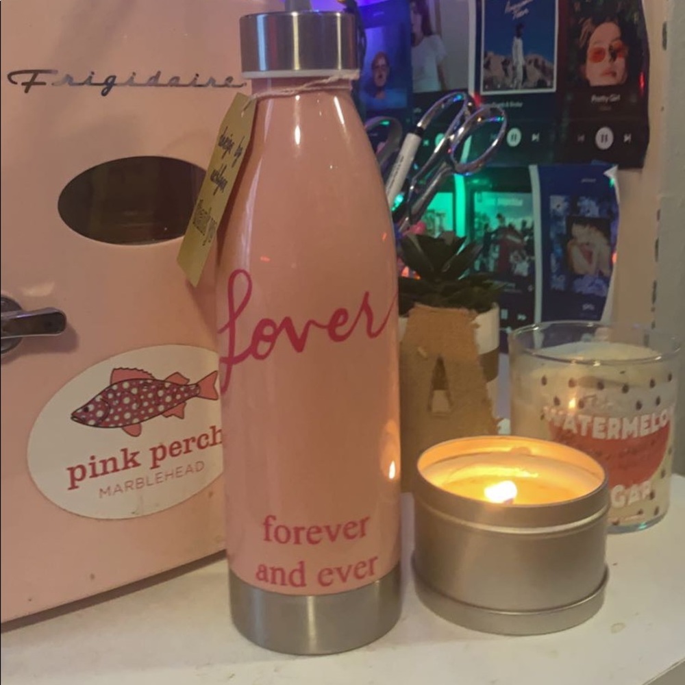 taylor swift lover water bottle